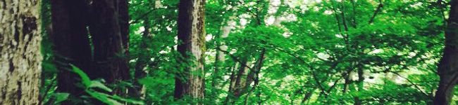 awabor's header image