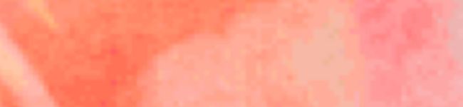 kikie's header image