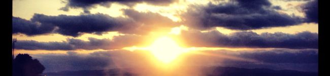 HΛRUパパ's header image
