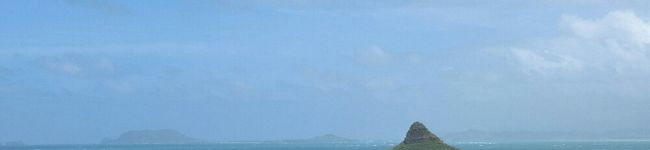eri☆81's header image