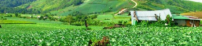fumimaruru's header image
