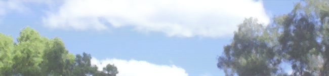 よんきち's header image