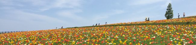 チョコサリー's header image