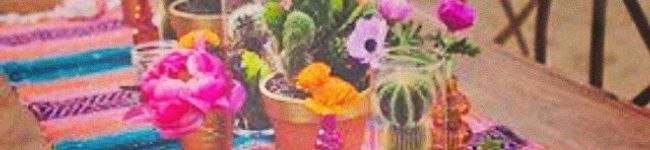 anne☆love☆'s header image