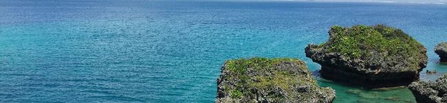 aiaiusaco's header image