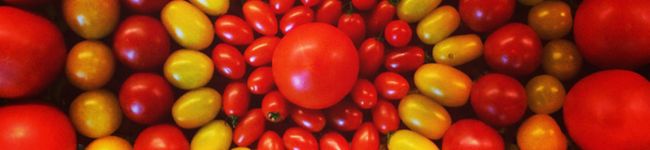 t_tomato's header image