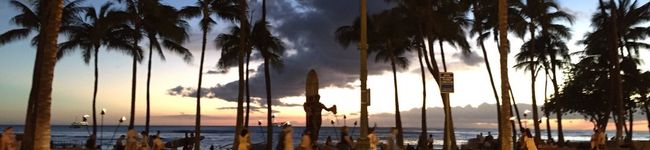 hemp36's header image