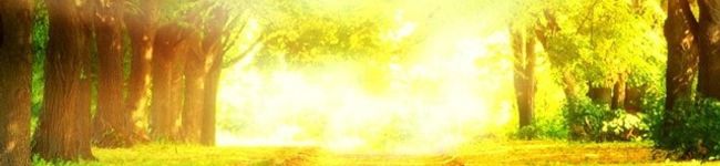 Minimocco's header image