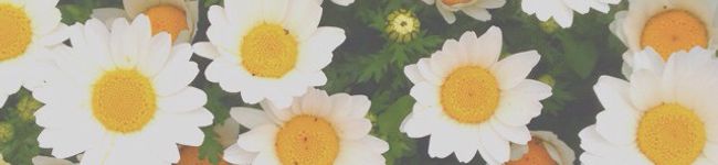 moguの台所's header image