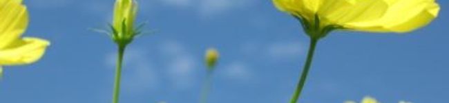りらっくす's header image