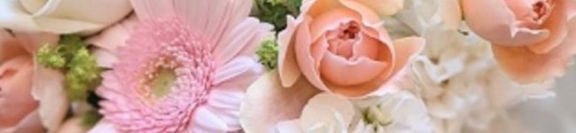 結真は道産子♪'s header image
