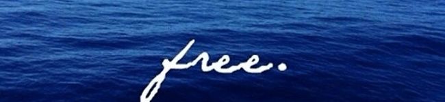 SurfBarbie's header image