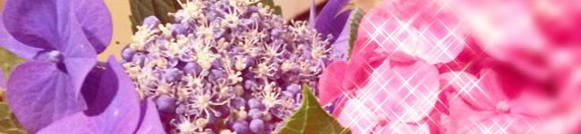 decomaru's header image