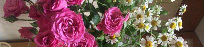 Reorose♡'s header image