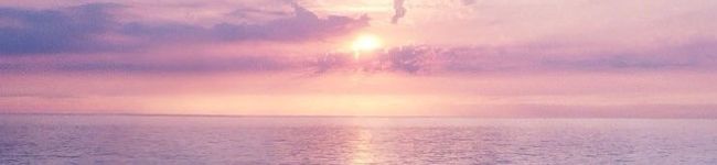 Hawaiifura's header image