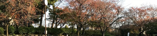 かすみ6411's header image