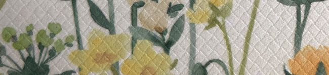 amu's header image