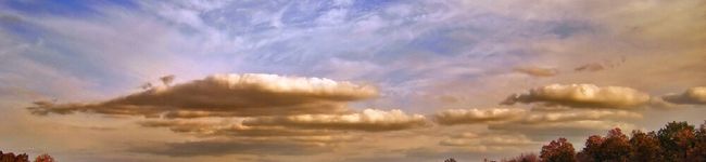 Decillia's header image