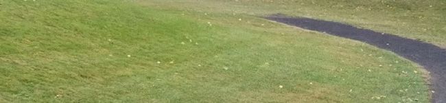 sononano24's header image