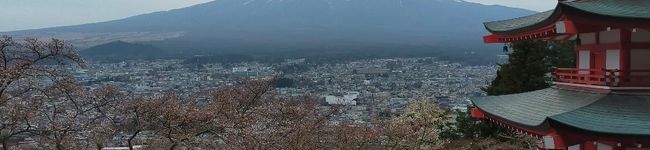 ミニトマト25783's header image