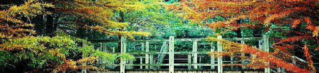 えぐったん's header image