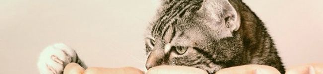 momo＿co's header image