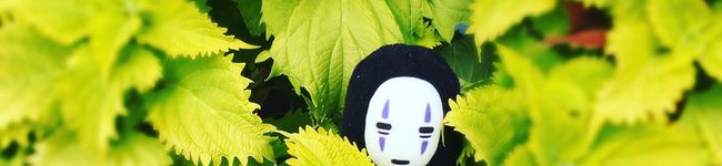 tanapi's header image