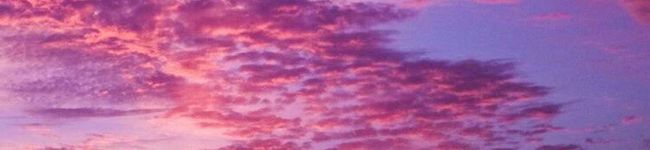 ★♪●▲×'s header image