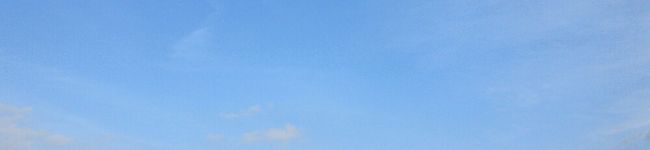 ぶーちび's header image
