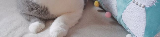 さえ｡'s header image