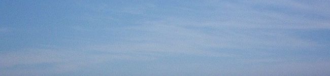mooonooo's header image
