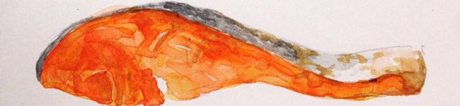 ぬʔ•̫͡•ʕん's header image