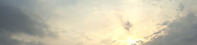 りぶし's header image