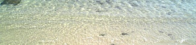 宮古島温泉の塩's header image