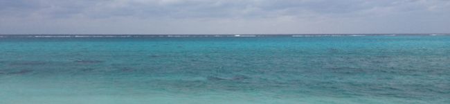 hiro0320's header image