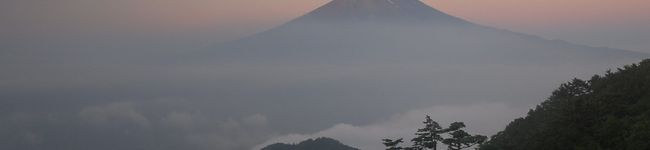petit-ami's header image