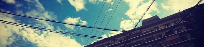 ほいっぷぺんぎん's header image