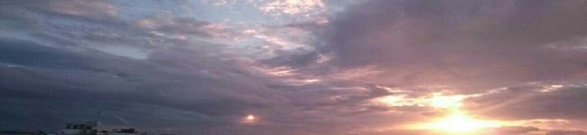 おまめめめ's header image