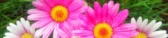 あーたっ's header image