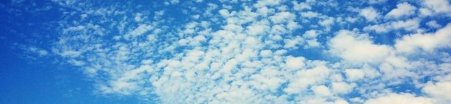 ◎ポンちゃん◎'s header image