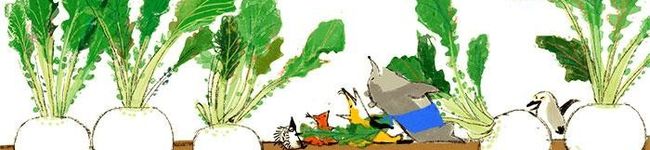 nuia's header image
