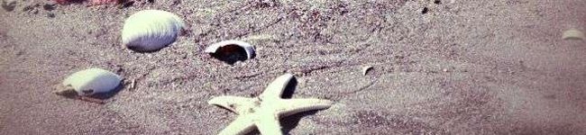 chula1016's header image