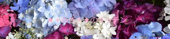 ★＊みき＊★'s header image