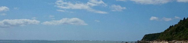 ヤナワラバ～～'s header image