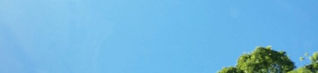 Tongonotty's header image