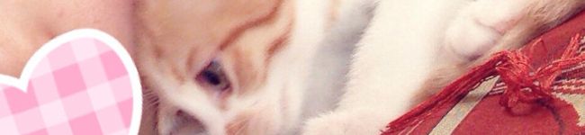 めるらんど's header image