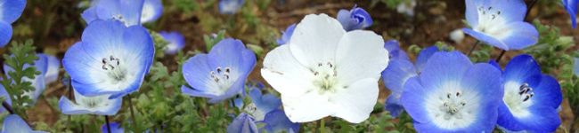 BettyLove's header image