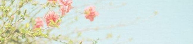 machi_so's header image