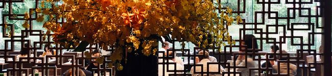 tino12345's header image