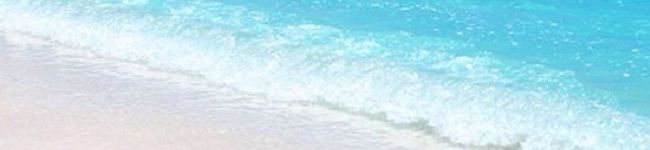 pandamama♪'s header image